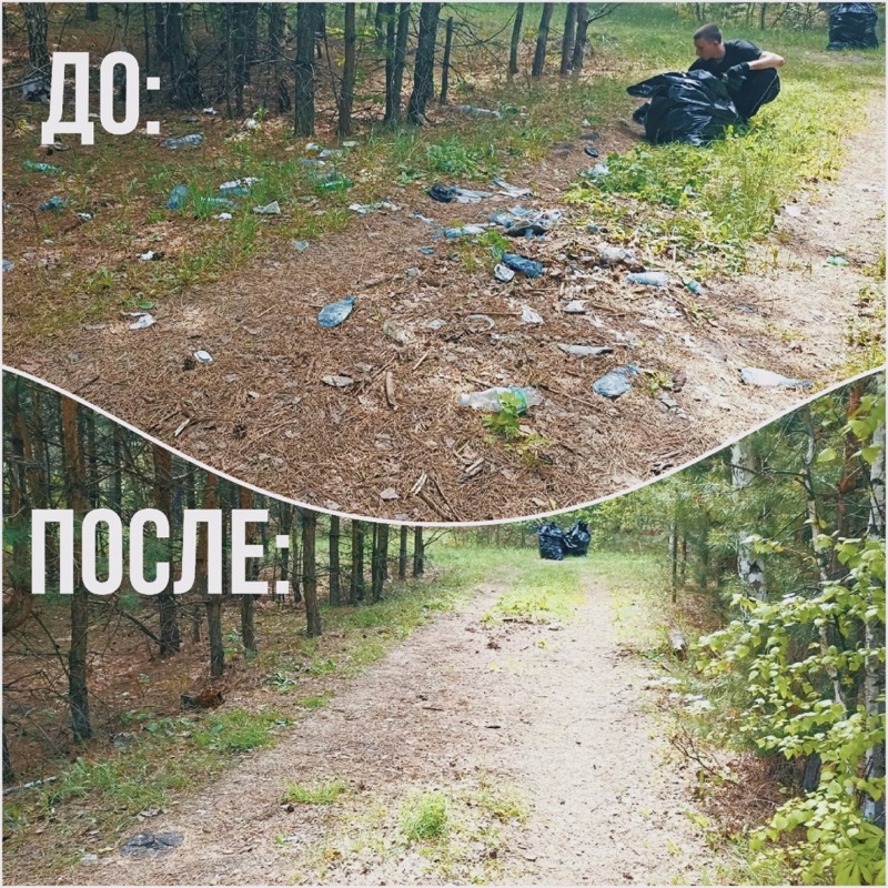 Благовещенцев приглашают присоединиться к экологическому конкурсу «Зов природы»