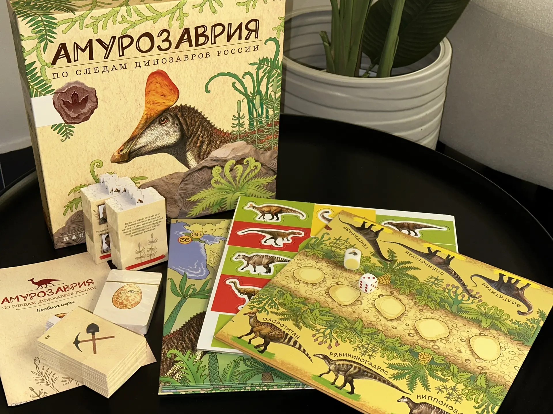 При поддержке мэра Благовещенска издательство «АСТ» выпустило первую в России игру об уникальных динозаврах нашей страны