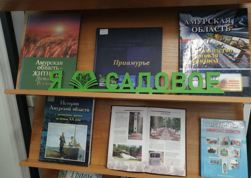В библиотеке села Садовое подвели итоги работы по проекту "Моё село"