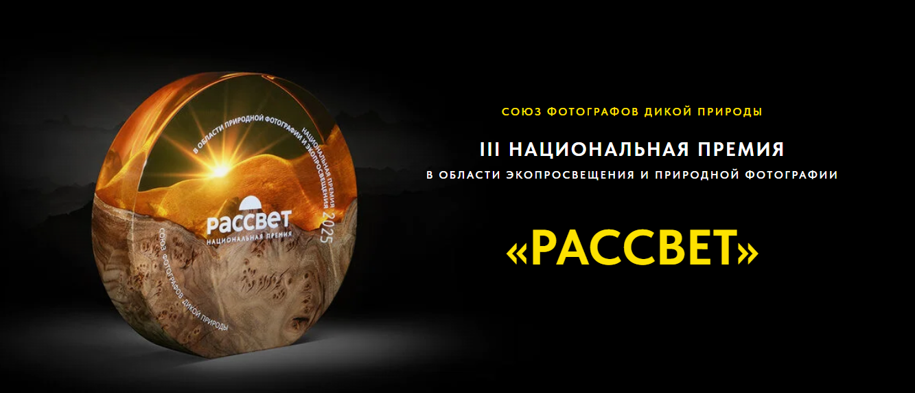 «Союз фотографов дикой природы» объявляет проведение национальной премии в области экопросвещения и природной фотографии «Рассвет»