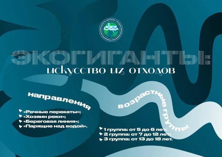 В Приамурье стартовал творческий конкурс «ЭКОгиганты: искусство из отходов»