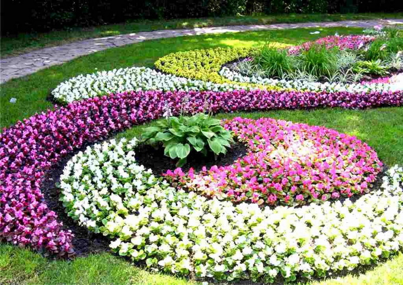 Благовещенская библиотека создаст из растений Евгения Онегина и Татьяну Ларину