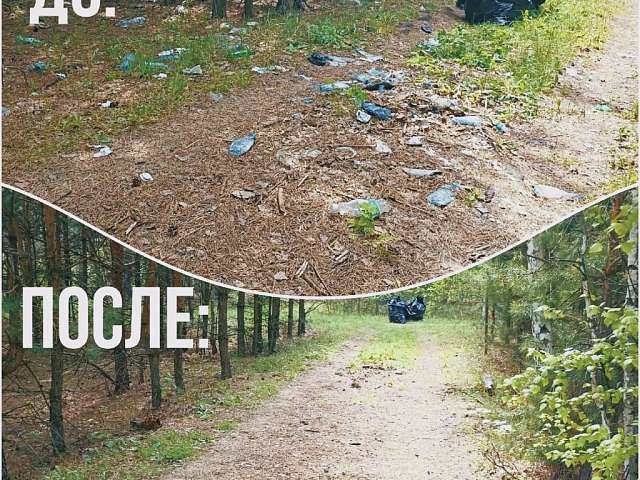 Благовещенцев приглашают присоединиться к экологическому конкурсу «Зов природы»