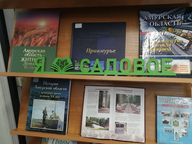 В библиотеке села Садовое подвели итоги работы по проекту "Моё село"