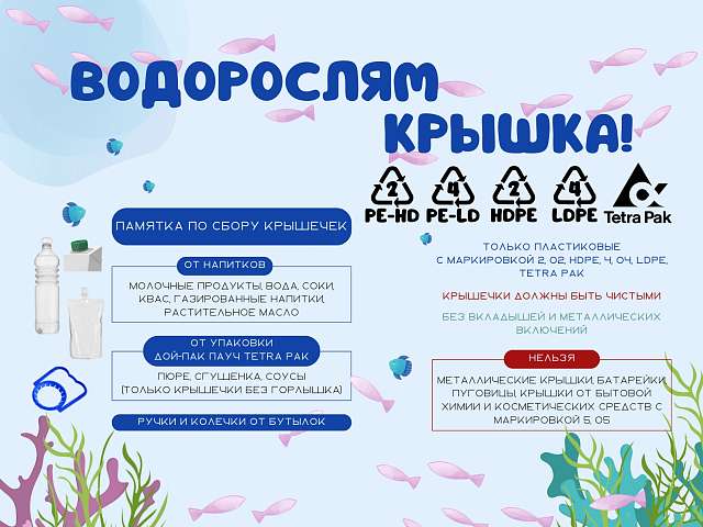 ГБУАО «Экология» объявляет о старте III регионального проекта «Водорослям крышка»