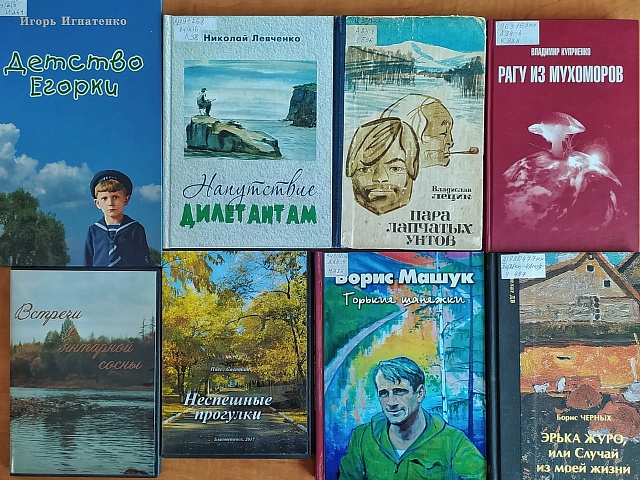 Писателей и краеведов Амурской области приглашают принять участие в книжном фестивале «Берег»