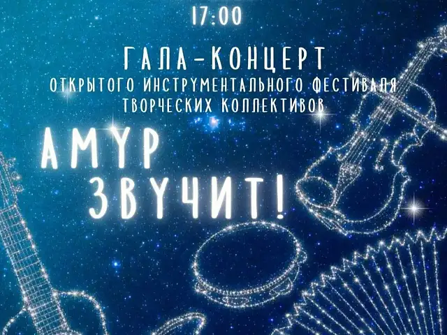 Откройте для себя волшебство инструментальной музыки на гала‑концерте фестиваля «Амур‑звучит!»