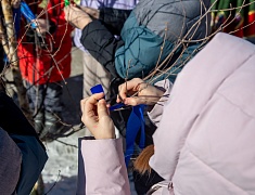 "Широкая Масленица" на площади Общественно-культурного центра (02.03.2025)