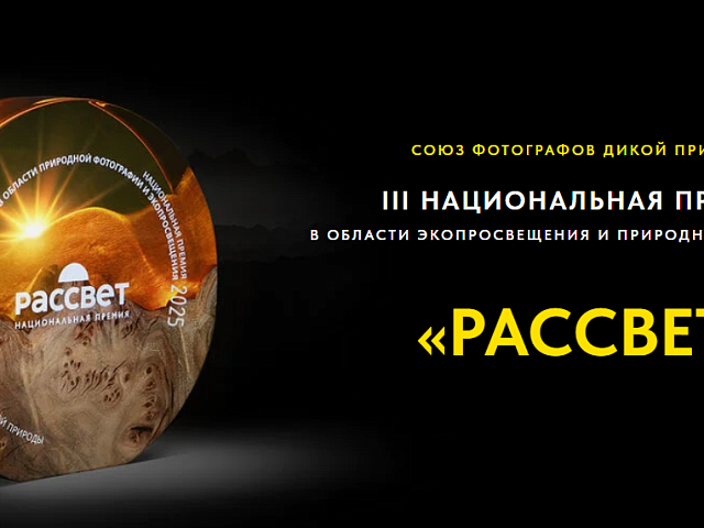 «Союз фотографов дикой природы» объявляет проведение национальной премии в области экопросвещения и природной фотографии «Рассвет»