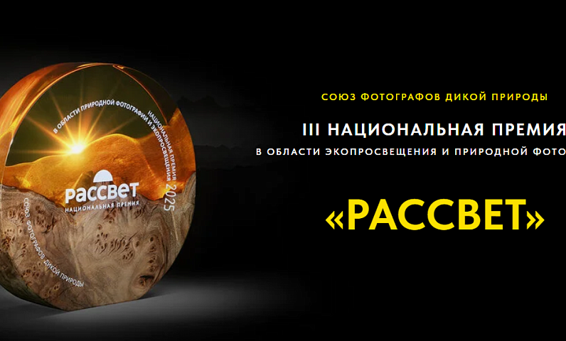 «Союз фотографов дикой природы» объявляет проведение национальной премии в области экопросвещения и природной фотографии «Рассвет»
