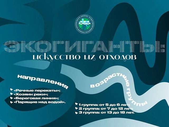 В Приамурье стартовал творческий конкурс «ЭКОгиганты: искусство из отходов»