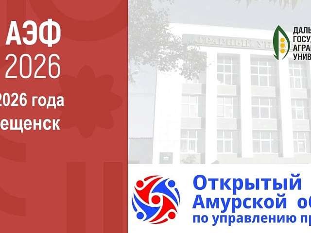 Открытый кубок Амурской области по управлению проектами — событие для тех, кто умеет воплощать идеи в жизнь
